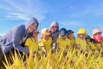 ? Các cháu tham quan cánh đồng lúa ???